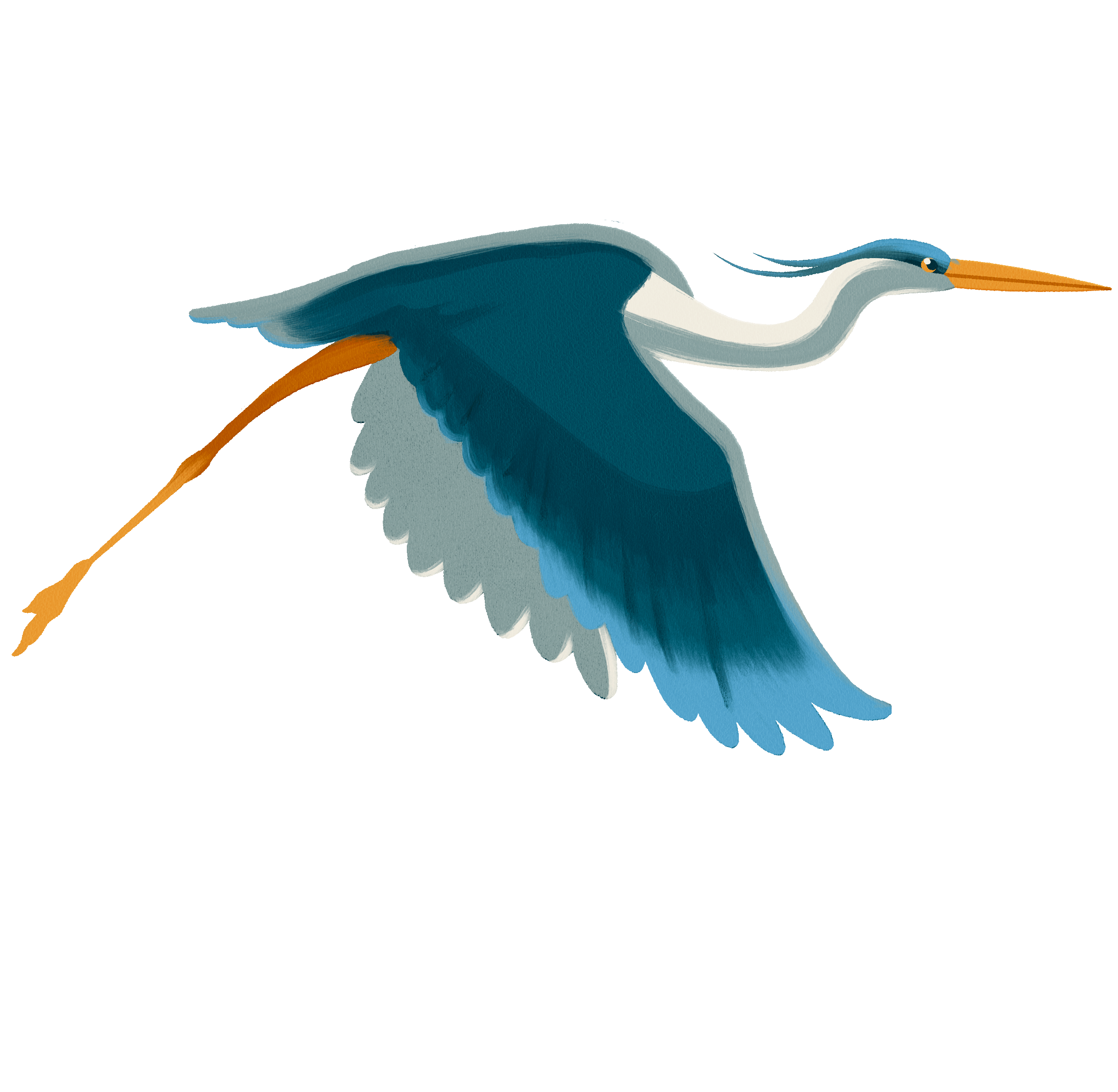 Flying heron
