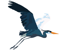Flying heron